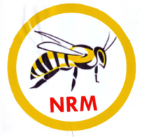 National Rescue Movement logo